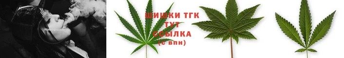 ECSTASY Баксан