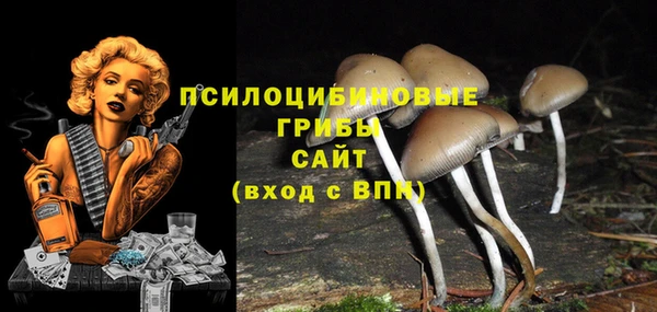 ECSTASY Баксан