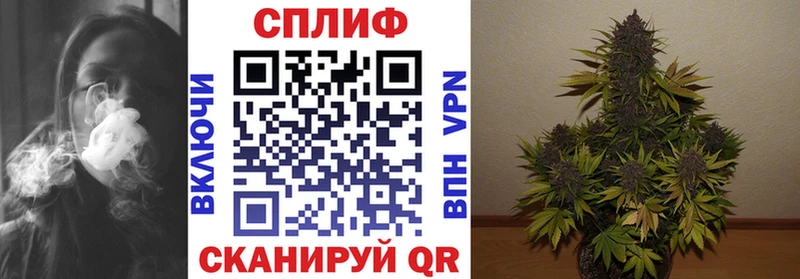Бошки Шишки конопля  MEGA как зайти  Сычёвка 